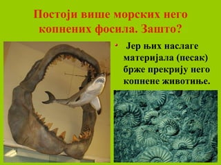 Постоји више морских него
копнених фосила. Зашто?
Јер њих наслаге
материјала (песак)
брже прекрију него
копнене животиње.
 