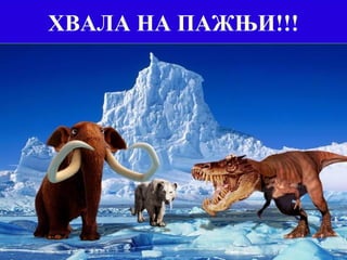 ХВАЛА НА ПАЖЊИ!!!
 