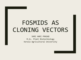FOSMIDS AS
CLONING VECTORS
SHRI HARI PRASAD
M.Sc. Plant Biotechnology
Kerala Agricultural University
 
