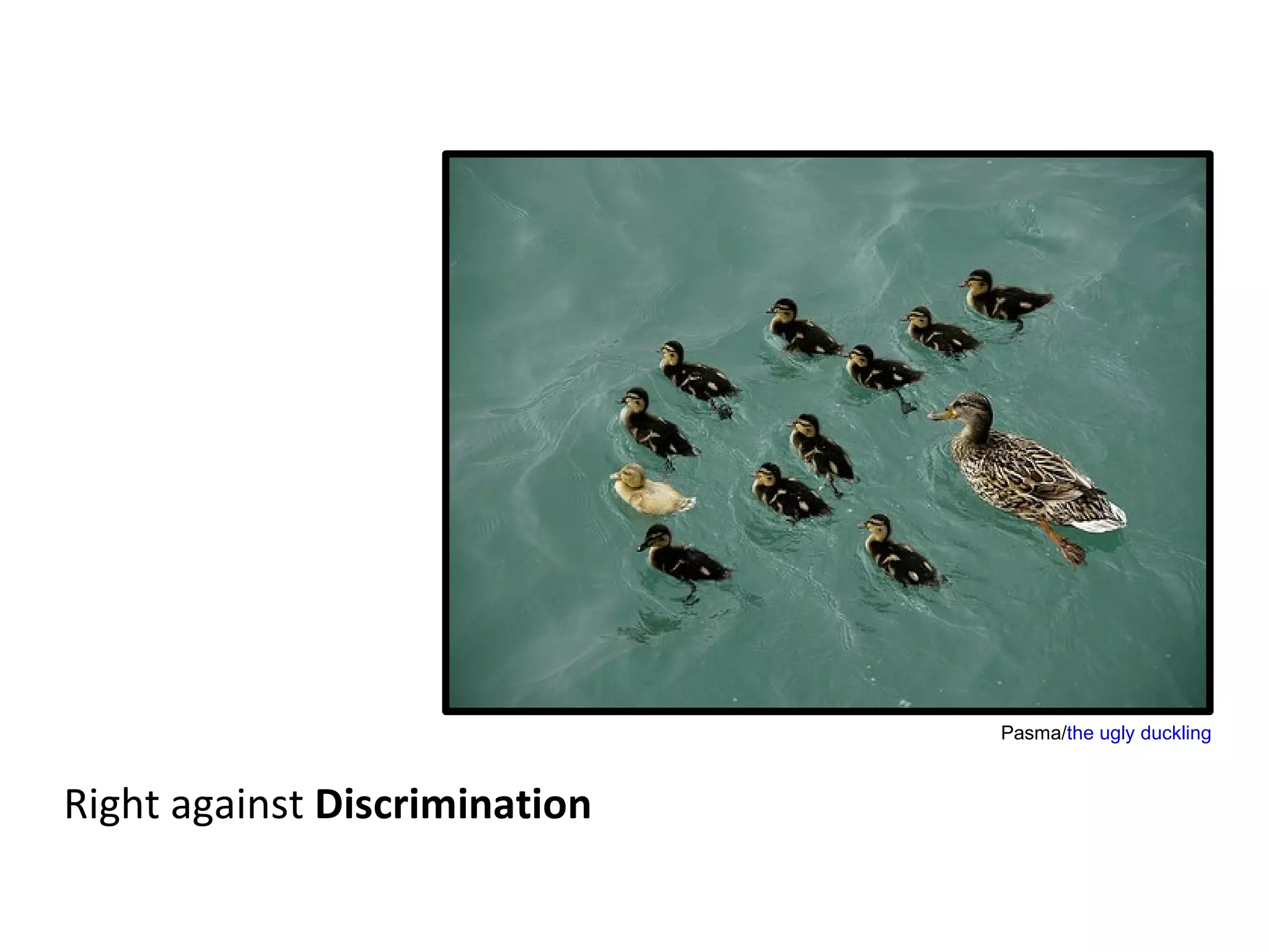 Right to  Equality maistora/ Colorful Army 