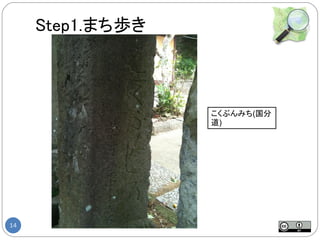 Step1.まち歩き



                  こくぶんみち(国分
                  道)




14
 