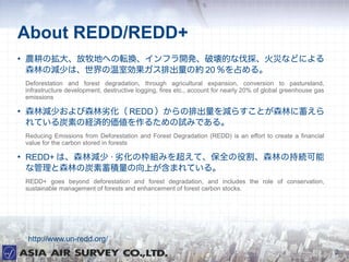 About REDD/REDD+

    rΒ󡢷ؤؤܞQե_kƉĤʷ񡢻Ĥʤɤˤ
    ɭ֤Μp٤ϡ҄ųμs 20 ռ롣
    Deforestation and forest degradation, through agricultural expansion, conversion to pastureland,
    infrastructure development, destructive logging, fires etc., account for nearly 20% of global greenhouse gas
    emissions


    ɭ֜p٤ɭӻ REDD ųp餹Ȥɭ֤
    Ƥ̿ؤνUgā뤿ԇߤǤ롣
    Reducing Emissions from Deforestation and Forest Degradation (REDD) is an effort to create a financial
    value for the carbon stored in forests


    REDD+ ϡɭ֜p  ӻΖMߤ򳬤ơȫ۸ɭ֤γ־A
    ʹɭ֤̿eϤޤƤ롣
    REDD+ goes beyond deforestation and forest degradation, and includes the role of conservation,
    sustainable management of forests and enhancement of forest carbon stocks.




    http://www.un-redd.org/
                                                                                                                   2
 