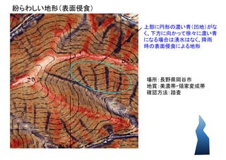 50
場所：長野県岡谷市
地質：美濃帯・領家変成帯
確認方法：踏査
紛らわしい地形（表面侵食）
上部に円形の濃い青（凹地）がな
く、下方に向かって徐々に濃い青
になる場合は湧水はなく、降雨
時の表面侵食による地形
 