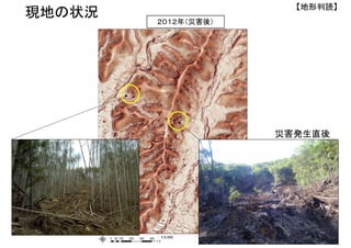 ２０１２年（災害後）
現地の状況
災害発生直後
【地形判読】
 