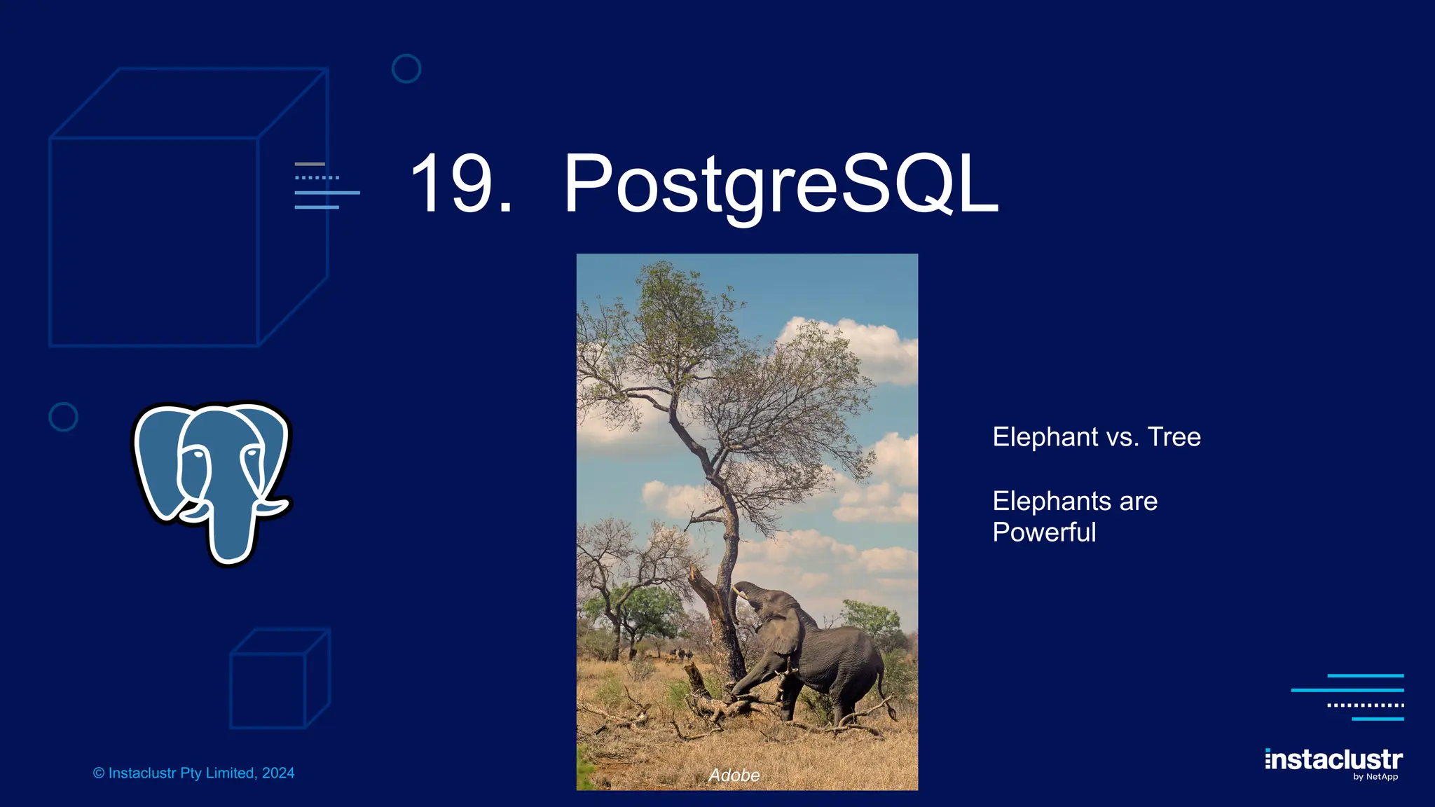 © Instaclustr Pty Limited, 2024
19. PostgreSQL
Elephant vs. Tree
Elephants are
Powerful
Adobe
 