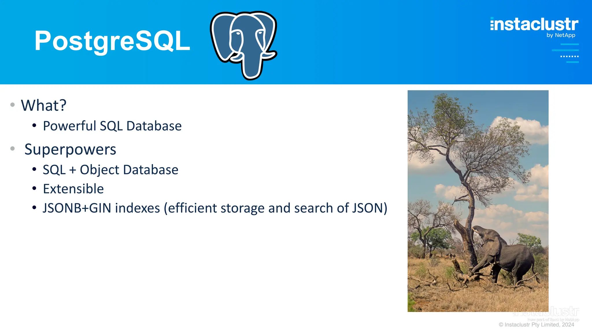 © Instaclustr Pty Limited, 2024
PostgreSQL
• What?
• Powerful SQL Database
• Superpowers
• SQL + Object Database
• Extensible
• JSONB+GIN indexes (efficient storage and search of JSON)
 