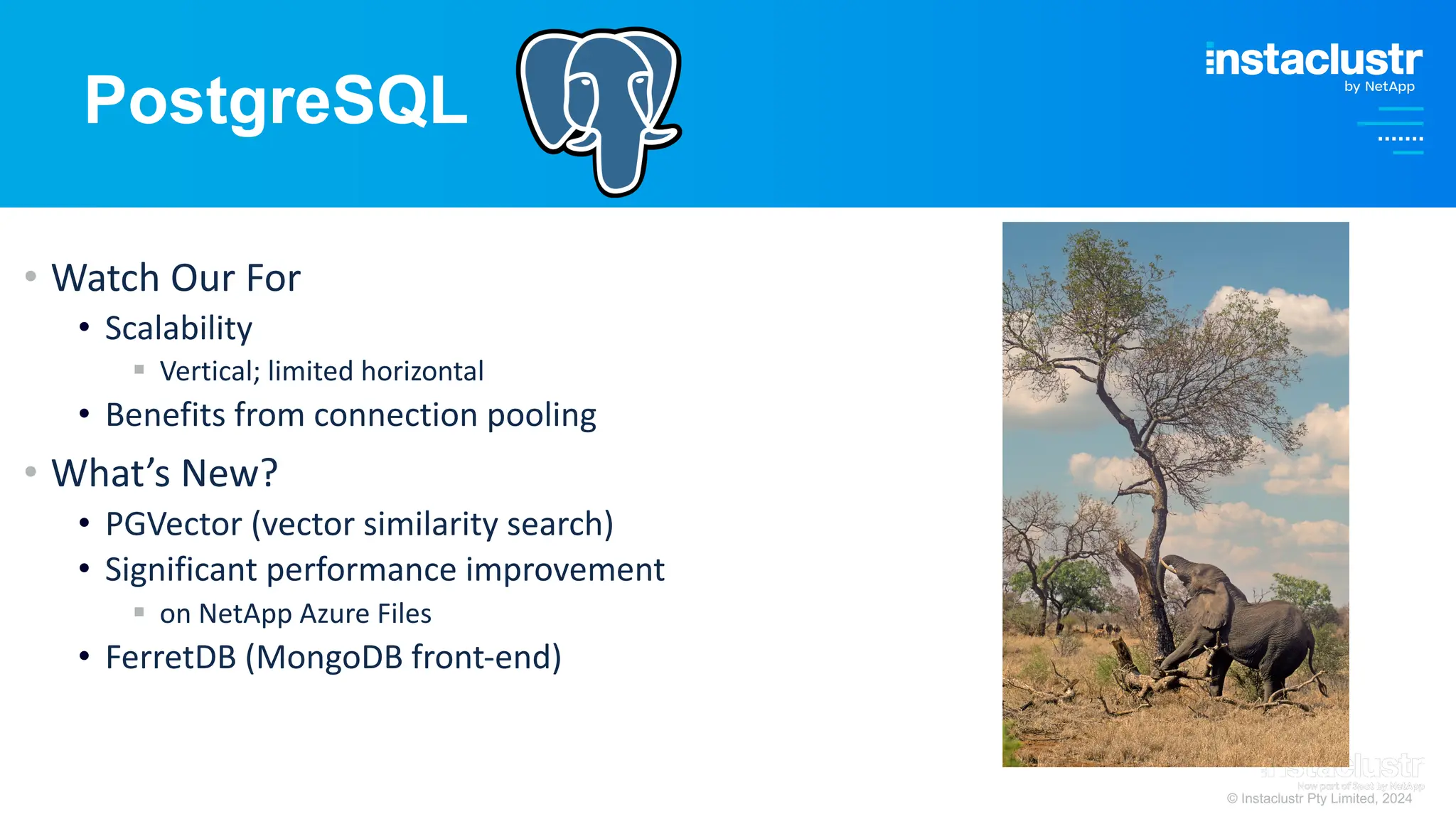 © Instaclustr Pty Limited, 2024
PostgreSQL
• Watch Our For
• Scalability
§ Vertical; limited horizontal
• Benefits from connection pooling
• What’s New?
• PGVector (vector similarity search)
• Significant performance improvement
§ on NetApp Azure Files
• FerretDB (MongoDB front-end)
 