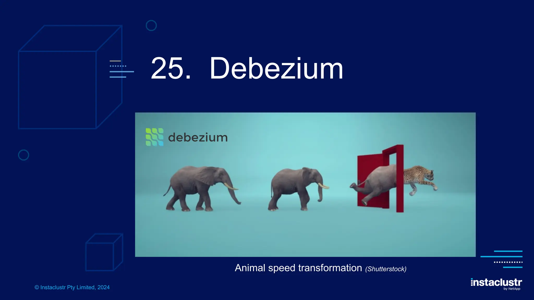 © Instaclustr Pty Limited, 2024
25. Debezium
Animal speed transformation (Shutterstock)
 