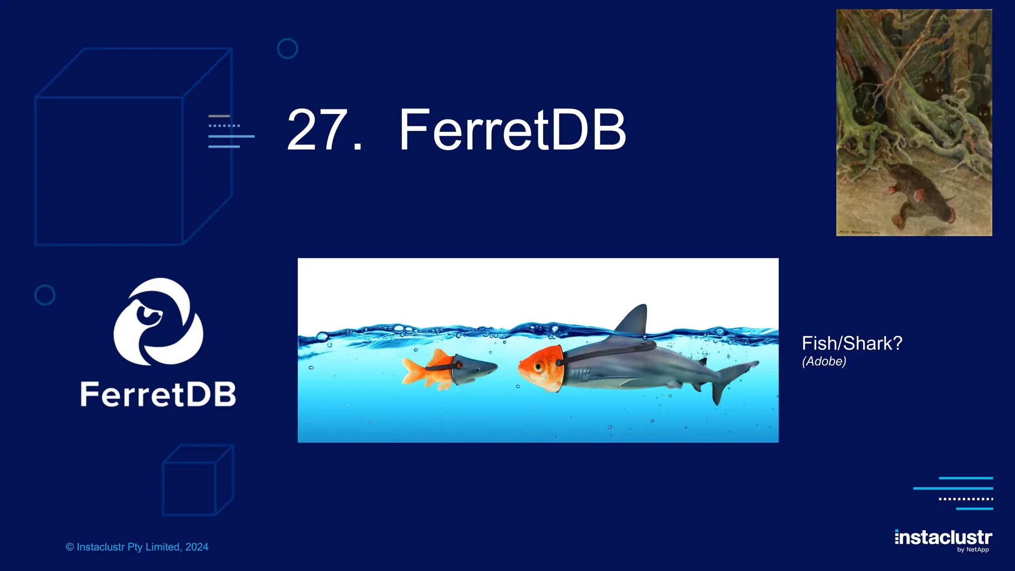 © Instaclustr Pty Limited, 2024
27. FerretDB
Fish/Shark?
(Adobe)
 