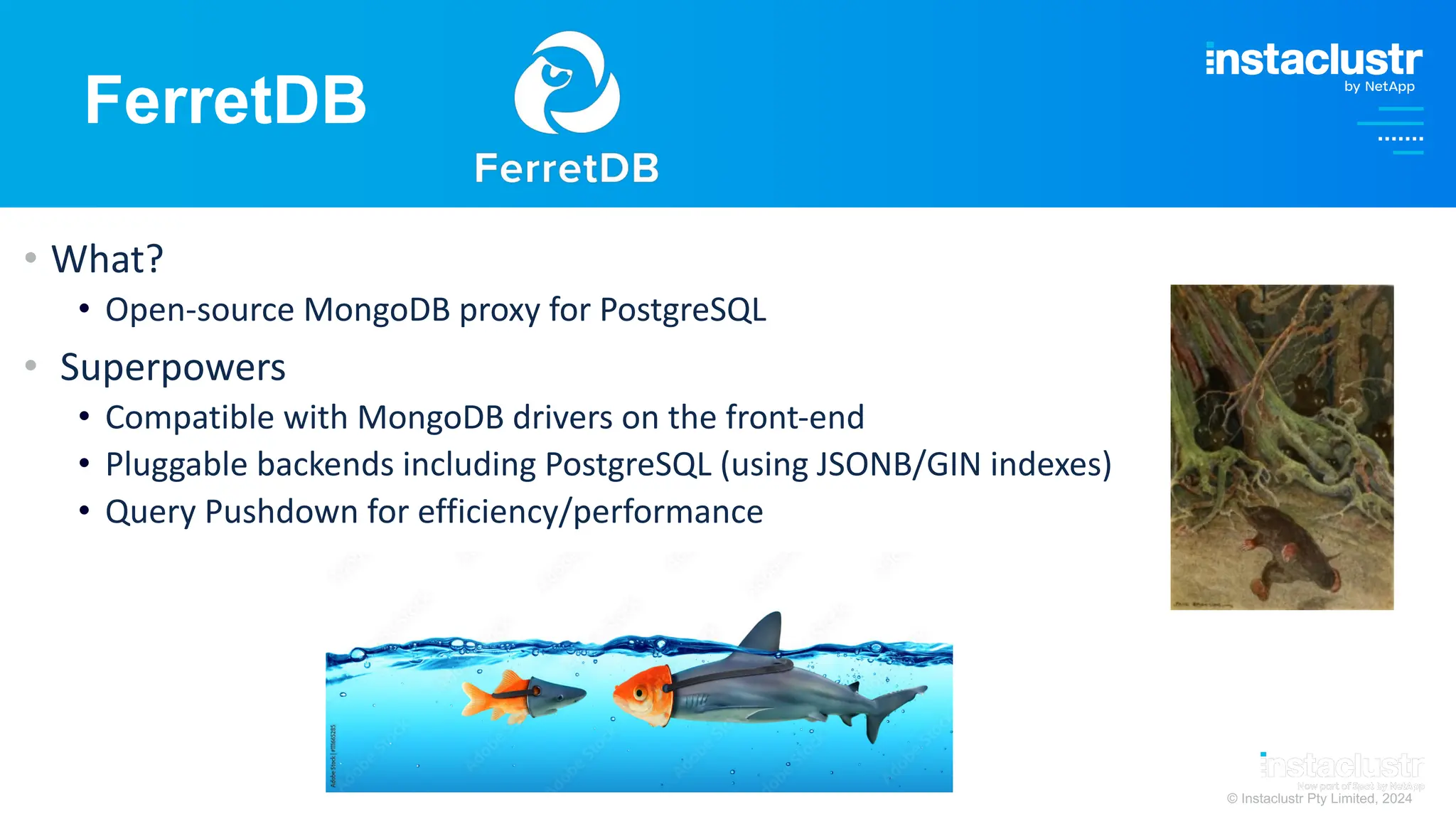 © Instaclustr Pty Limited, 2024
FerretDB
• What?
• Open-source MongoDB proxy for PostgreSQL
• Superpowers
• Compatible with MongoDB drivers on the front-end
• Pluggable backends including PostgreSQL (using JSONB/GIN indexes)
• Query Pushdown for efficiency/performance
 