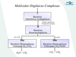 Moléculas Orgânicas Complexas
I

Bactérias
Hidrolíticas Acidogênicas
Ácidos orgânicos,
Compostos neutros

II

Bactérias
Heteroacetogênicas
H2 e CO2

Acetato

IIIa

IIIb

Bactérias Metanogênicas
Utilizando H2 e CO2

Bactérias Metanogênicas
Utilizando CH3COOH

H2O + CH4

CO2 + CH4

 