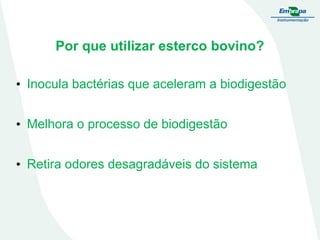 Por que utilizar esterco bovino?
• Inocula bactérias que aceleram a biodigestão
• Melhora o processo de biodigestão

• Retira odores desagradáveis do sistema

 