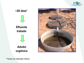 ~20 dias*

Efluente
tratado

Adubo
orgânico
* Tempo de retenção hídrica

 