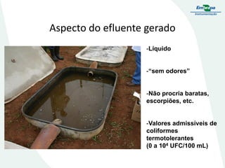 Aspecto do efluente gerado
-Líquido

-“sem odores”

-Não procria baratas,
escorpiões, etc.

-Valores admissíveis de
coliformes
termotolerantes
(0 a 104 UFC/100 mL)

 