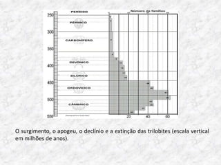 O surgimento, o apogeu, o declínio e a extinção das trilobites (escala vertical
em milhões de anos).
 