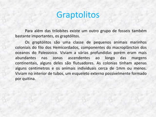 Graptolitos
     Para além das trilobites existe um outro grupo de fosseis também
bastante importantes, os graptólitos.
     Os graptólitos são uma classe de pequenos animais marinhos
coloniais do filo dos Hemicordados, componentes do macroplâncton dos
oceanos do Paleozoico. Viviam a várias profundidas porém eram mais
abundantes nas zonas ascendentes ao longo das margens
continentais, alguns deles são flutuadores. As colonias tinham apenas
alguns centímetros e os animais individuais cerca de 1mm ou menos.
Viviam no interior de tubos, um esqueleto externo possivelmente formado
por quitina.
 