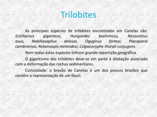 Trilobites
       As principais espécies de trilobites encontradas em Canelas são:
Ectillaenus      giganteus,     Hungioides     boehmicus,      Neseuretus
avus,      Nobiliasaphus    delesse,    Ogyginus    forteyi,   Placoparia
cambriensis, Retamaspis melendezi, Colpocoryphe thorali conjugens.
       Nem todas estas espécies tinham grande repartição geográfica.
       O gigantismo das trilobites deve-se em parte à dilatação associada
com a deformação das rochas sedimentares.
       Curiosidade: o brasão de Canelas é um dos poucos brasões que
contêm a representação de um fóssil.
 