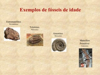 Exemplos de fósseis de idade Estromatólitos Pré-câmbrico Trilobites  Paleozóico Amonites  Mesozóico Mamífero Primitivo  Cenozóico 