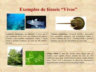 Exemplos de fósseis “Vivos” Latimeria chalumnae, ou celacanto  O peixe que é um verdadeiro 'fóssil vivo', sem mudanças de aspecto externo e dos detalhes anatómicos, habita a Terra desde o período Cretácico, há cerca de 100 milhões de anos. Limulus pelyphemus  Artrópode marinho, aparentado dos escorpiões marinhos, que actualmente habita a Costa Atlântica dos EUA , existente desde o período Pérmico, há cerca de 250 milhões de anos atrás. Ginkgo biloba  É uma das árvores mais antigas que se conhece com registos fósseis datados de mais de 250 milhões de anos atrás. Charles Darwin referiu a ginko biloba como "fóssil vivo" e ilustrações da época dos dinossauros frequentemente incluem árvores de ginkgo biloba.  