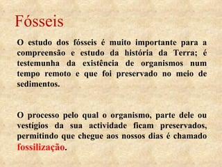 Fósseis O estudo dos fósseis é muito importante para a compreensão e estudo da história da Terra; é testemunha da existência de organismos num tempo remoto e que foi preservado no meio de sedimentos.   O processo pelo qual o organismo, parte dele ou vestígios da sua actividade ficam preservados, permitindo que chegue aos nossos dias é chamado  fossilização .   