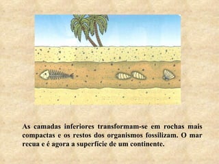 As camadas inferiores transformam-se em rochas mais compactas e os restos dos organismos fossilizam. O mar recua e é agora a superfície de um continente. 