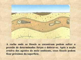 A rocha onde os fósseis se encontram podem sofrer a pressão de determinadas forças e dobrar-se. Após a acção erosiva dos agentes do meio ambiente, esses fósseis podem ficar próximos da superfície. 