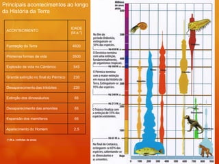 Principais acontecimentos ao longo
da História da Terra


                                       IDADE
 ACONTECIMENTO
                                       (M.a.*)


 Formação da Terra                     4600

 Primeiras formas de vida              3500

 Explosão de vida no Câmbrico           545

 Grande extinção no final do Pérmico    230

 Desaparecimento das trilobites         230

 Extinção dos dinossáurios               65

 Desaparecimento das amonites            65

 Expansão dos mamíferos                  65

 Aparecimento do Homem                  2,5

 (*) M.a. ( milhões de anos)
 