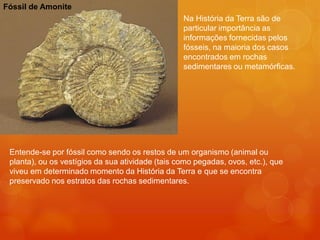 Fóssil de Amonite
                                                  Na História da Terra são de
                                                  particular importância as
                                                  informações fornecidas pelos
                                                  fósseis, na maioria dos casos
                                                  encontrados em rochas
                                                  sedimentares ou metamórficas.




 Entende-se por fóssil como sendo os restos de um organismo (animal ou
 planta), ou os vestígios da sua atividade (tais como pegadas, ovos, etc.), que
 viveu em determinado momento da História da Terra e que se encontra
 preservado nos estratos das rochas sedimentares.
 
