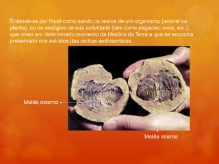 Entende-se por fóssil como sendo os restos de um organismo (animal ou
planta), ou os vestígios da sua actividade (tais como pegadas, ovos, etc.),
que viveu em determinado momento da História da Terra e que se encontra
preservado nos estratos das rochas sedimentares.

                          Fóssil de Trilobite




     Molde externo




                                                       Molde interno
 