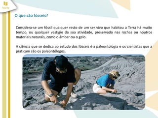 Fosseis | PPTX