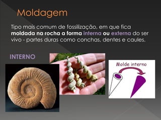 Tipo mais comum de fossilização, em que fica
moldada na rocha a forma interna ou externa do ser
vivo - partes duras como conchas, dentes e caules.
INTERNO
 