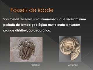 São fósseis de seres vivos numerosos, que viveram num
período de tempo geológico muito curto e tiveram
grande distribuição geográfica.
Trilobite Amonite
 
