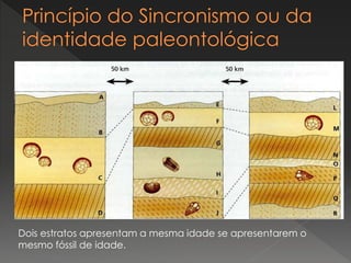Dois estratos apresentam a mesma idade se apresentarem o
mesmo fóssil de idade.
 