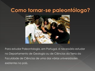 Para estudar Paleontologia, em Portugal, é necessário estudar
no Departamento de Geologia ou de Ciências da Terra da
Faculdade de Ciências de uma das várias universidades
existentes no país.
 