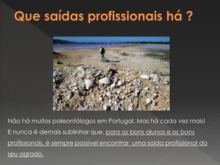 Não há muitos paleontólogos em Portugal. Mas há cada vez mais!
E nunca é demais sublinhar que, para os bons alunos e os bons
profissionais, é sempre possível encontrar uma saída profissional do
seu agrado.
 