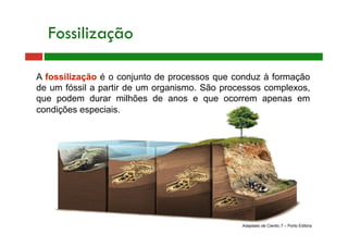 Fossilização
A fossilização é o conjunto de processos que conduz à formação
de um fóssil a partir de um organismo. São processos complexos,
que podem durar milhões de anos e que ocorrem apenas em
condições especiais.
Adaptado de Cientic 7 – Porto Editora
 