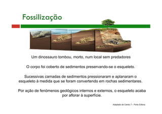 Fossilização
Por ação de fenómenos geológicos internos e externos, o esqueleto acaba
por aflorar à superfície.
Sucessivas camadas de sedimentos pressionaram e aplanaram o
esqueleto à medida que se foram convertendo em rochas sedimentares.
Um dinossauro tombou, morto, num local sem predadores
O corpo foi coberto de sedimentos preservando-se o esqueleto.
Adaptado de Cientic 7 – Porto Editora
 