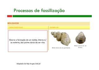 Processos de fossilização
Ocorre a formação de um molde, interno e/
ou externo, das partes duras do ser vivo.
Adaptado de http://e-geo.ineti.pt/
 