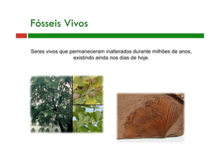 Fósseis Vivos
Seres vivos que permaneceram inalterados durante milhões de anos,
existindo ainda nos dias de hoje.
 