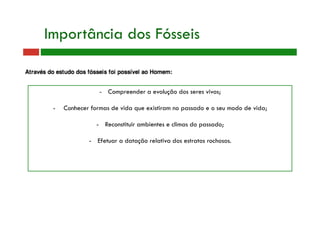 Importância dos Fósseis
-  Compreender a evolução dos seres vivos;
-  Conhecer formas de vida que existiram no passado e o seu modo de vida;
-  Reconstituir ambientes e climas do passado;
-  Efetuar a datação relativa dos estratos rochosos.
 