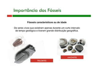 Importância dos Fósseis
Fósseis característicos ou de idade
De seres vivos que existiram apenas durante um curto intervalo
de tempo geológico e tiveram grande distribuição geográfica.
TRILOBITES
AMONITES
 