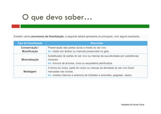 O que devo saber…
Adaptado de Escola Virtual
 