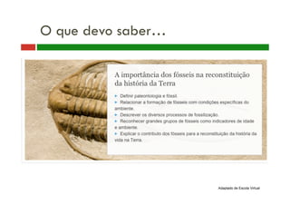 O que devo saber…
Adaptado de Escola Virtual
 