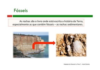 As rochas são o livro onde está escrita a história da Terra, 
especialmente as que contêm fósseis – as rochas sedimentares. 
Fósseis
Adaptado de Descobrir a Terra 7 – Areal Editores
 