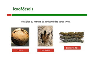 Vestígios ou marcas da atividade dos seres vivos.
Icnofósseis
OVOS PEGADAS
EXCREMENTOS
 