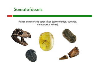 Somatofósseis
Partes ou restos de seres vivos (como dentes, conchas,
carapaças e folhas).
 