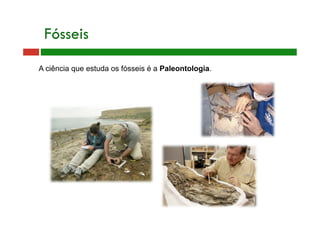 Fósseis
A ciência que estuda os fósseis é a Paleontologia.
 