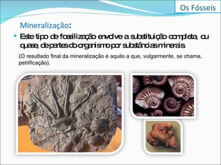 Mineralização :   Este tipo de fossilização envolve a substituição completa, ou quase, de partes do organismo por substâncias minerais.  (O resultado final da mineralização é aquilo a que, vulgarmente, se chama, petrificação).  Os Fósseis 