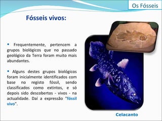 Fósseis vivos:   Celacanto Os Fósseis Frequentemente, pertencem a grupos biológicos que no passado geológico da Terra foram muito mais abundantes. Alguns destes grupos biológicos foram inicialmente identificados com base no registo fóssil, sendo classificados como extintos, e só depois sido descobertos - vivos - na actualidade. Daí a expressão " fóssil vivo ". 