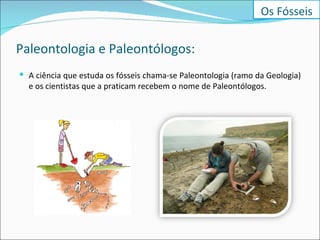 Paleontologia e Paleontólogos: A ciência que estuda os fósseis chama-se Paleontologia (ramo da Geologia) e os cientistas que a praticam recebem o nome de Paleontólogos. Os Fósseis 